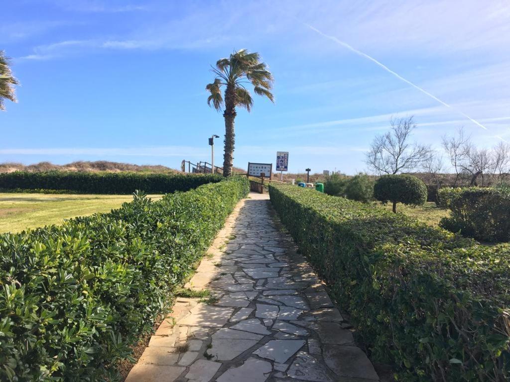 Apartamento A 100 Metros De La Playa Con Grande Terraza Y Vistas Al Mar Daimus Exterior photo
